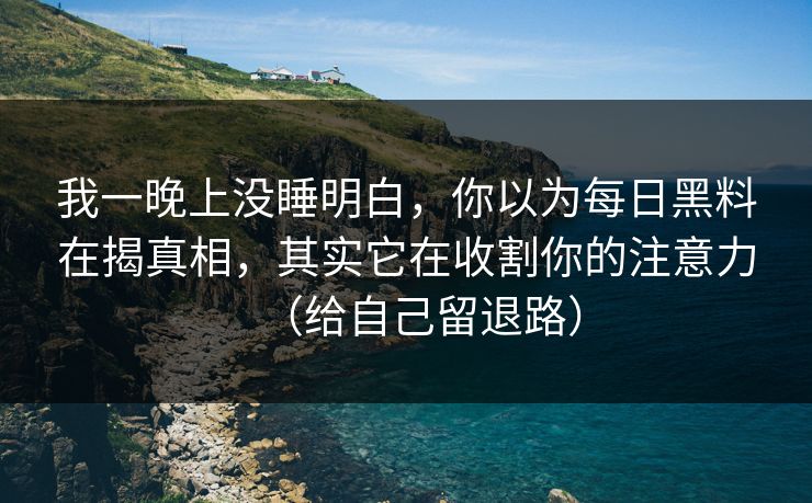 我一晚上没睡明白，你以为每日黑料在揭真相，其实它在收割你的注意力（给自己留退路）